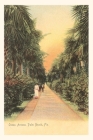 Vintage Journal Ocean Avenue, Palm Beach, Florida By Found Image Press (Producer) Cover Image