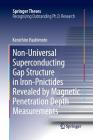 Non-Universal Superconducting Gap Structure in Iron-Pnictides Revealed by Magnetic Penetration Depth Measurements (Springer Theses) Cover Image