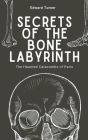 Secrets of the Bone Labyrinth: The Haunted Catacombs of Paris By Edward Turner Cover Image