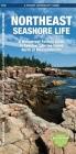 Northeast Seashore Life: A Waterproof Folding Guide to Familiar Animals & Plants North of Massachusetts Cover Image