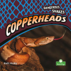 Copperheads By Kelli Hicks Cover Image
