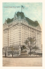 Vintage Journal Hotel Plaza, New York City By Found Image Press (Producer) Cover Image