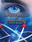 The Sociobiology of Visual Images By Anthony Napoleon Cover Image