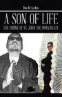 A Son of Life: The Triune of St. John the Immaculate By Ian Matthew Maldonado, Don de la Don Cover Image