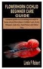 Flowerhorn Cichlid Beginner Care Guide: Compete guide on everything you need to know about Flowerhorn Cichlid: Care, Food, lifespan, tank size, Tank M Cover Image