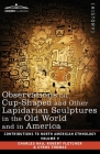 Observations on Cup-Shaped and Other Lapidarian Sculptures in the Old World and in America-On Prehistoric Trephining and Cranial Amulets-A Study of th Cover Image
