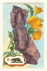 Vintage Journal California Map with Bear and Poppies Cover Image