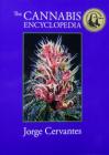 The Cannabis Encyclopedia: The Definitive Guide to Cultivation & Consumption of Medical Marijuana Cover Image