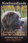 Newfoundlands Dog Training Book for Newfoundland Dogs & Newfoundland Puppies by D!G THIS DOG Training: Newfoundland Training Begins From the Car Ride By Doug K. Naiyn Cover Image