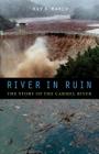 River in Ruin: The Story of the Carmel River By Ray A. March Cover Image