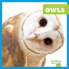 Owls By Jenna Lee Gleisner Cover Image
