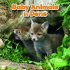 Baby Animals in Dens (Baby Animals and Their Homes) By Martha E. H. Rustad Cover Image