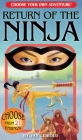 Return of the Ninja (Choose Your Own Adventure) By Jay Leibold, Chloe Niclas (Illustrator), Michael Tonn (Illustrator) Cover Image
