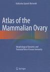 Atlas of the Mammalian Ovary: Morphological Dynamics and Potential Role of Innate Immunity By Katharina Spanel-Borowski Cover Image