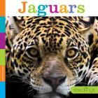 Jaguars (Seedlings) By Quinn M. Arnold Cover Image