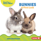 Bunnies: A First Look By Anna Anderhagen Cover Image