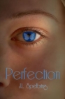 Perfection By J.L. Spelbring Cover Image