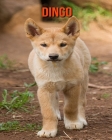 Dingo: Imágenes asombrosas y datos curiosos Cover Image