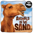 Animals in the Sand By Brenda McHale Cover Image