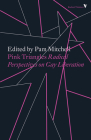 Pink Triangles: Radical Perspectives on Gay Liberation By Pam Mitchell Cover Image
