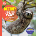 Destiny Finds Her Way: How a Rescued Baby Sloth Learned to Be Wild By Margarita Engle Cover Image