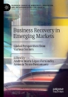 Business Recovery in Emerging Markets: Global Perspectives from Various Sectors (Palgrave Studies in Democracy) Cover Image