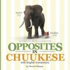 Opposites in Chuukese: With English Translations By Gerard Aflague Cover Image