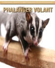Phalanger Volant: Le Guide Essentiel Consacré à Cet Animal Extraordinaire avec des Photos Étonnantes Cover Image