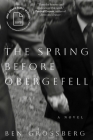 The Spring before Obergefell: A Novel (The James Alan McPherson Prize for the Novel) Cover Image