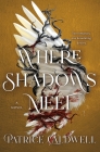 Where Shadows Meet: A Novel Cover Image