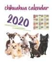 chihuahua calendar 2020: The best (Dog Breed Calendar) Monthly Wall or Desk Calendar for Chihuahua Breed Fans - Funny Quotes & Pictures 8.5 inc By Zizi Cover Image