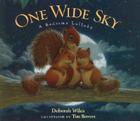 One Wide Sky: A Bedtime Lullaby By Deborah Wiles, Tim Bowers (Illustrator) Cover Image