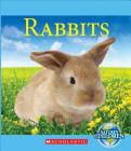Rabbits By Josh Gregory Cover Image