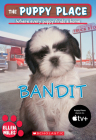 The Puppy Place #24: Bandit Cover Image