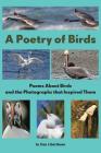 A Poetry of Birds: Poems About Birds and the Photographs that Inspired Them By Dan Liberthson Cover Image