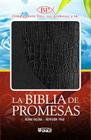Biblia de Promesas-Rvr 1960 Cover Image