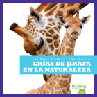 Crías de Jirafa En La Naturaleza (Giraffe Calves in the Wild) By Marie Brandle Cover Image