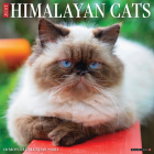 Just Himalayan Cats 2025 12 X 12 Wall Calendar Cover Image