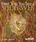 Next Time You See a Spiderweb Cover Image