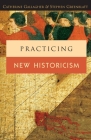 Practicing New Historicism By Catherine Gallagher, Professor Stephen Greenblatt Cover Image