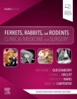 Ferrets, Rabbits, and Rodents: Clinical Medicine and Surgery Cover Image