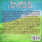 Too Much Excitement By Kathy Williams Cover Image