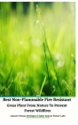Best Non-Flammable Fire Resistant Grass Plant From Nature to Prevent Forest Wildfires Hardcover Edition By Jannah Firdaus Mediapro Cover Image