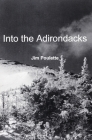 Into the Adirondacks By Jim Poulette Cover Image