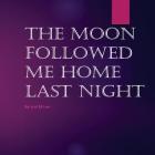 The Moon Followed Me Home Last Night: The Moon Followed Me Home Last Night By Lori M. Lee Cover Image