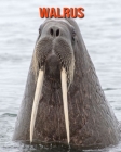 Walrus: Beautiful Pictures & Interesting Facts Children Book About Walrus By Alice William Cover Image