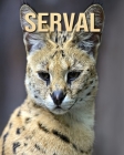 Serval: Fascinating Serval for Kids with Stunning Pictures! By Jessica Leonardo Cover Image