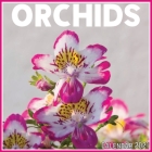 Orchids Calendar 2021: Official Orchids Calendar 2021, 12 Months Cover Image