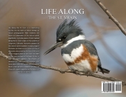 Life Along the St. Vrain: An Intimate View of the Coexistence between Nature and People By Peter Hartlove Cover Image