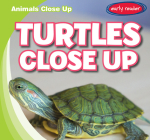 Turtles Close Up By Seth Lynch Cover Image